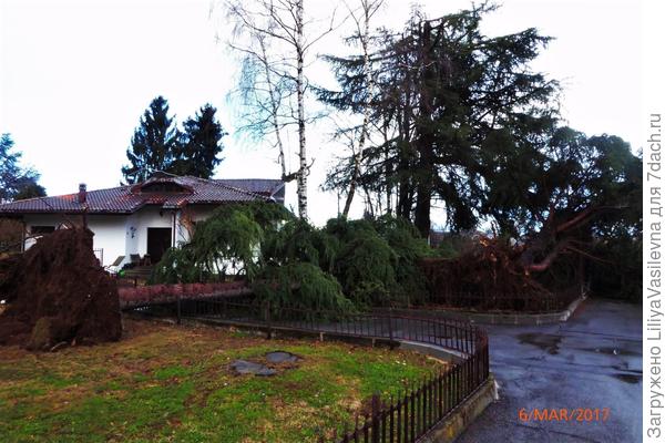 После ураганного ветра.