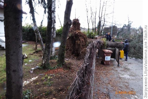 Соседка пытается пробраться к дому...