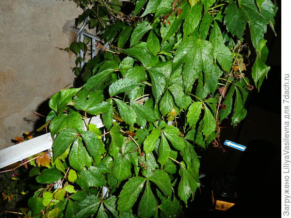 здесь больше солнца