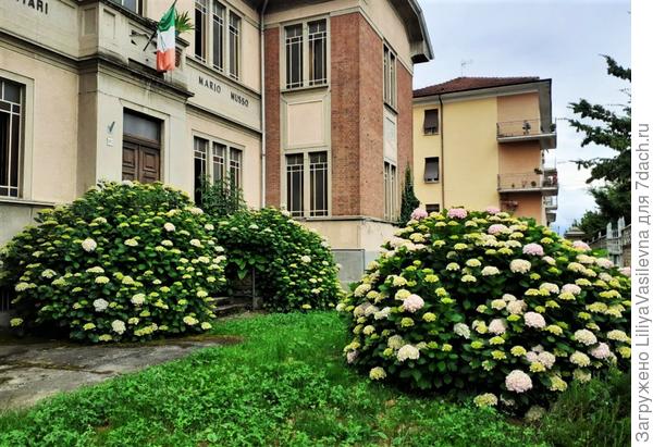 вот они ранее