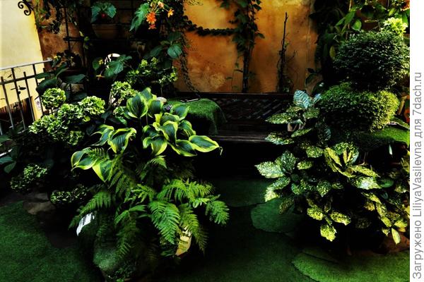 сентябрь 2020