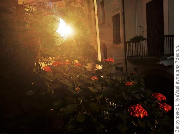 Ловит закат