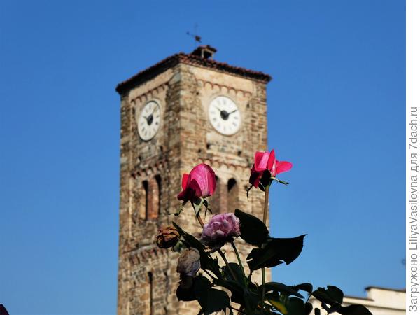 22.09.2020 ., солнечно