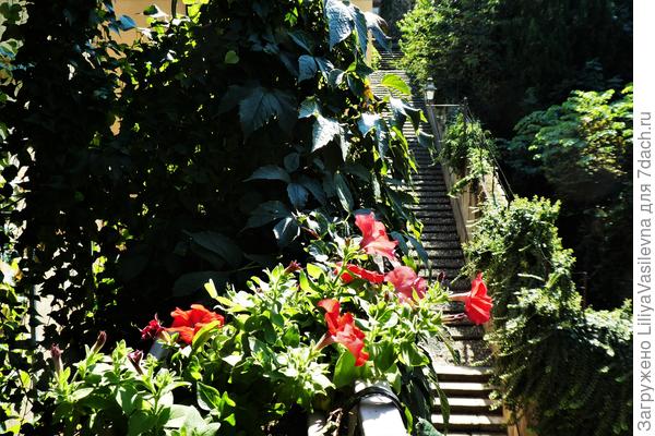 с моего балкона , 03.09.2020