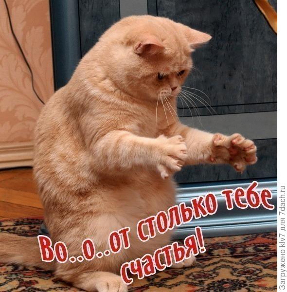 Все желают тебе много-много счастья!!!!!!!!!!!!!