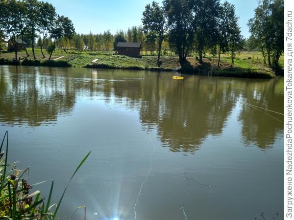 Солнце брызнуло полоской. Тени вьются, словно дым...