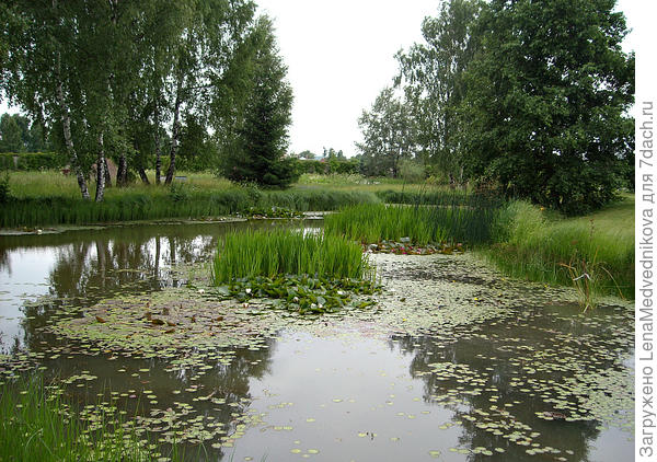 Вот он, водный парк