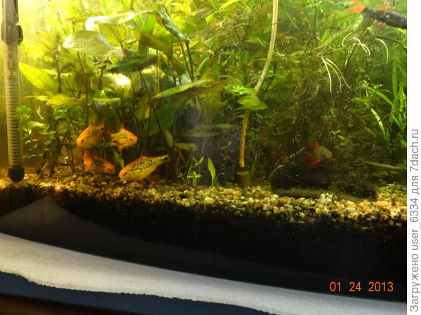 бывало так...