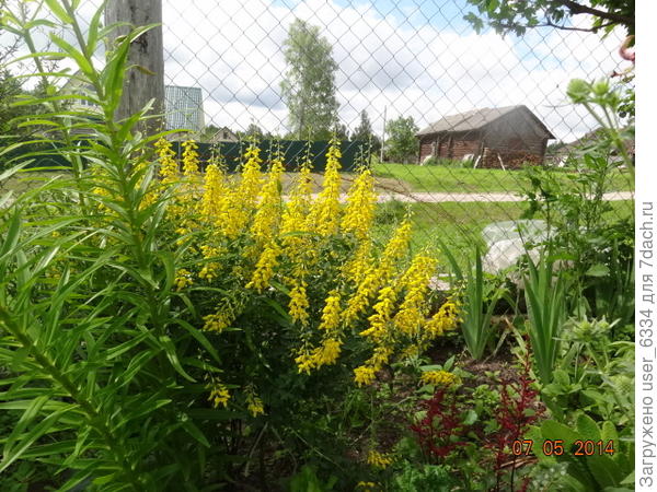 а так? сам удивился.