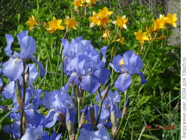 здесь, правда, бородатые...