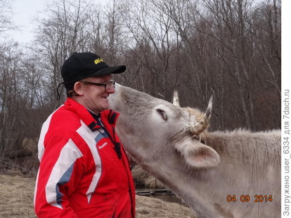 ...А шейку почесать?