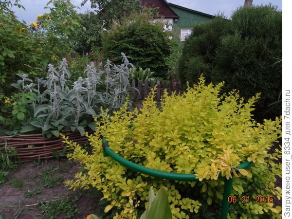 Вроде сегодня звезды для загрузки фото сошлись.