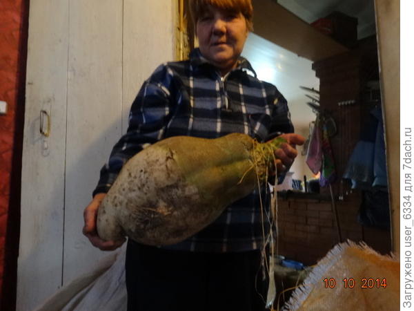 видывали лилипутов и покрупнее...
