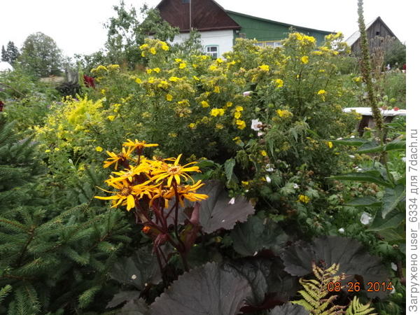 а вот и БМК нашел, но тут он ещё молодой