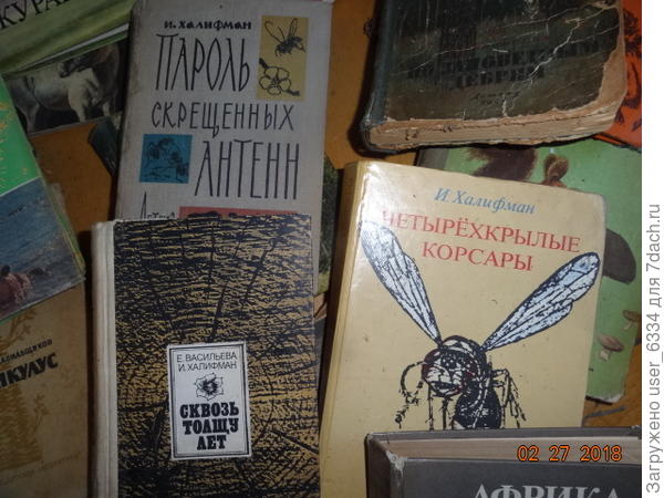 Халифмана тут тоже хватает