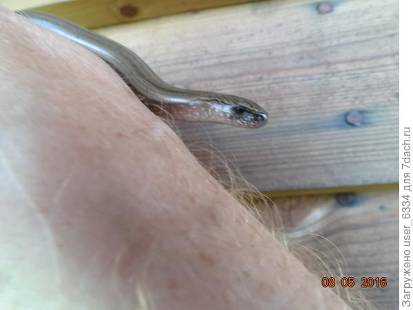 при каждом удобном случае