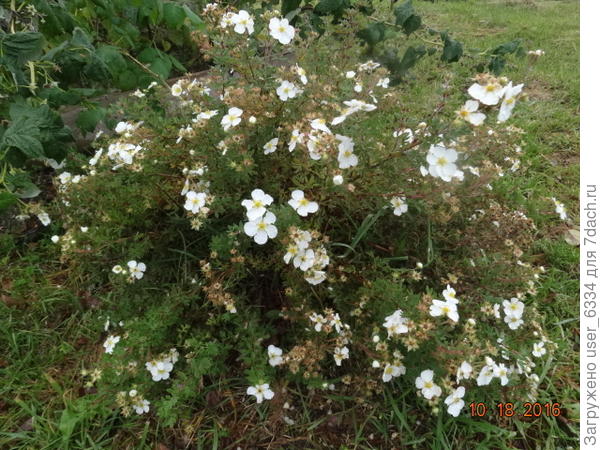 Я речь вел вот об этом