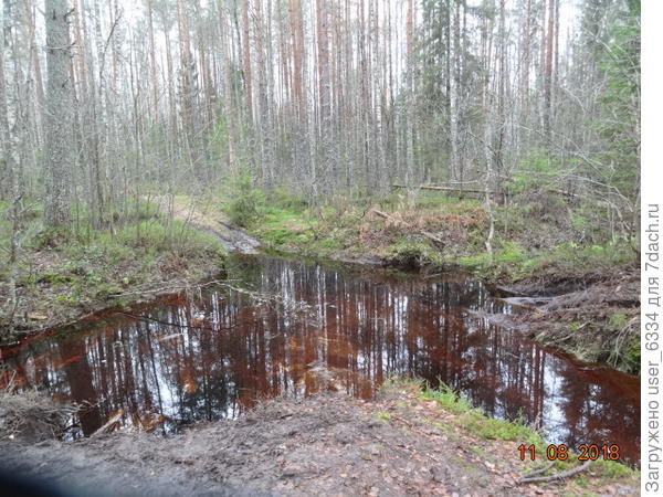 Через километр ровная дорога упирается в это. Ручей, точнее водотводная канава с чаемого болота, здесь разбита тракторами до полной непроходимости.
Прячу велосипед за валежиной и отойдя на 20 метров ниже, перепрыгиваю через русло