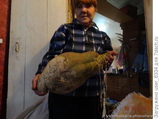 она вообще богатая синьора