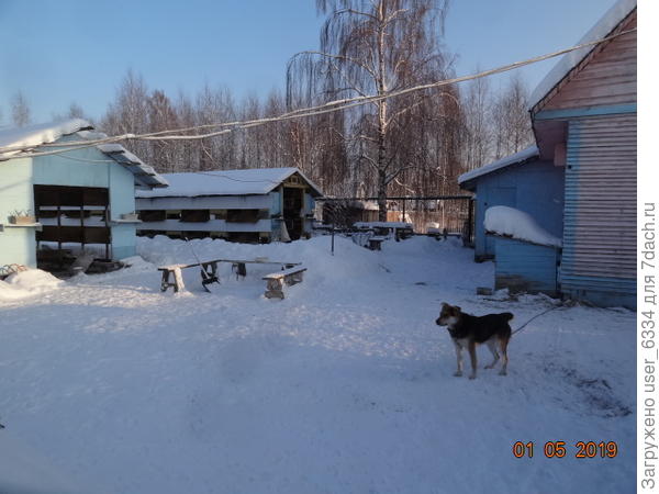 она же изнутри