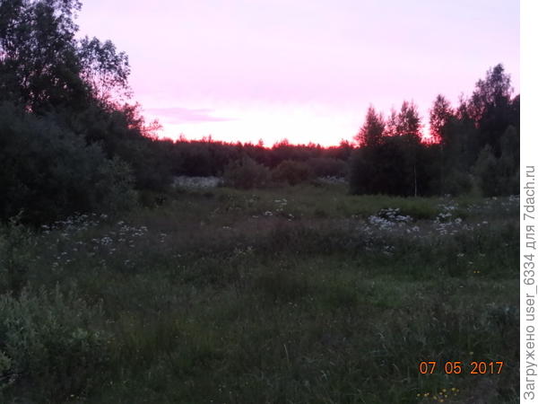 и без оного, зато с цветами( таволга)