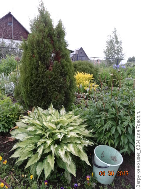 ...а ведро здесь для масштаба