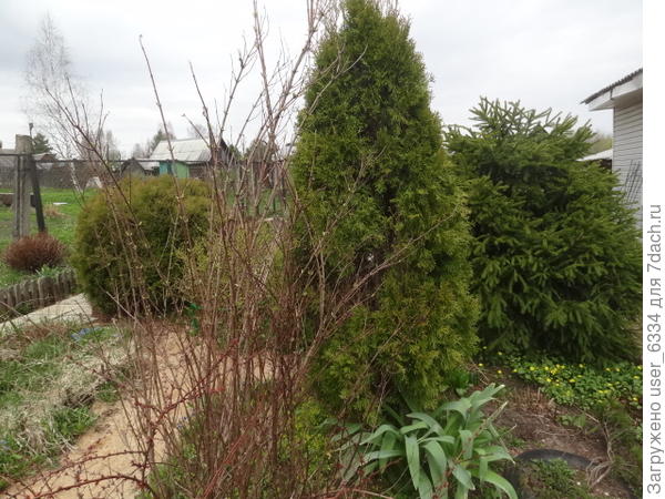 через два года после травмы