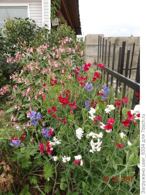 здесь он на заднем плане