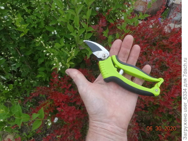 и секатор два