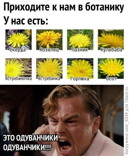 хотя я это совсем недавно постил, так что прошу прощения, у тех, кто уже видел.