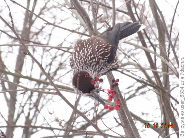 попробуем...