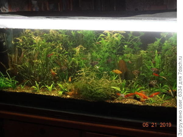 этот побольше