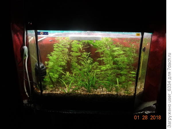 этапы большого пути: начало