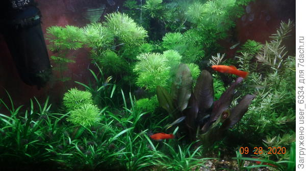 и два с половиной года спустя