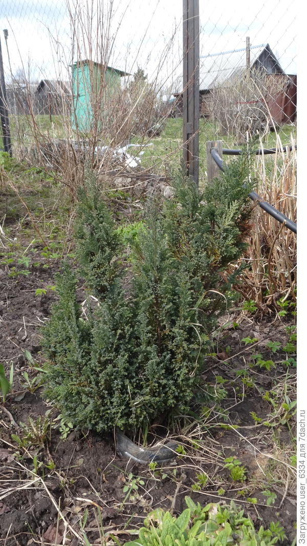 Идет третий год после очередной трагедии