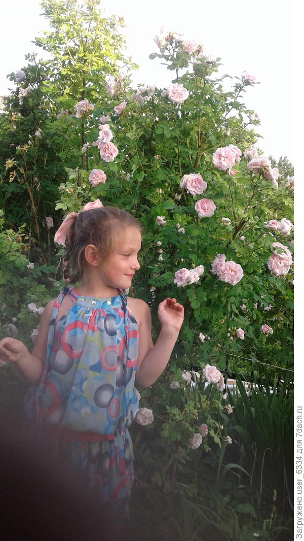 в прошлом году