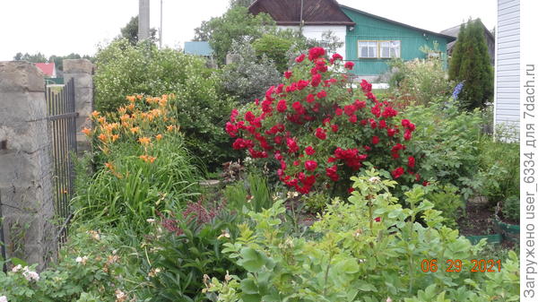 в этом году