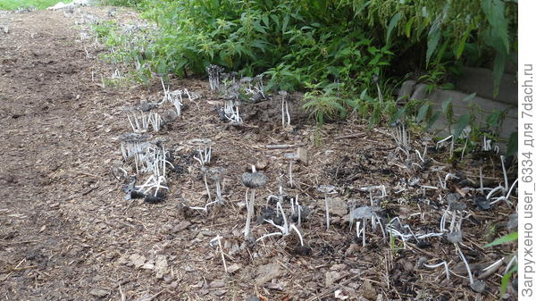 и так на десяток метров