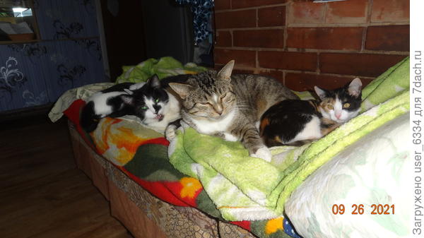 ...только кто их туда пустит...