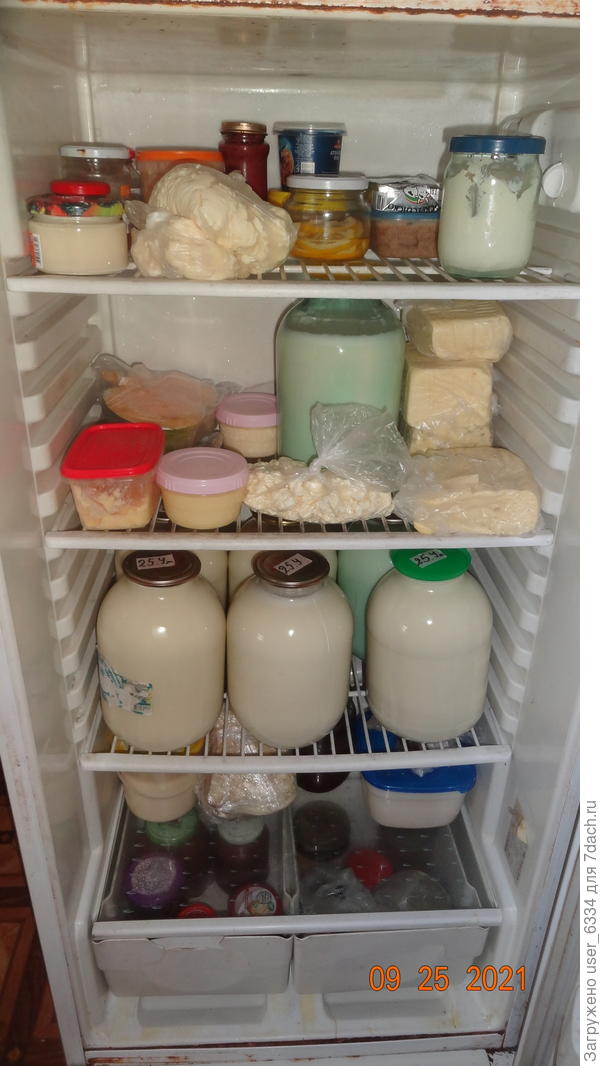 В этом холодильнике мысли о суициде в головы мышам придти в принципе не могут.