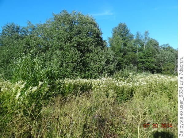 и так десятки гектаров...