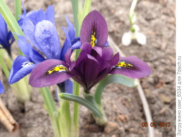 тоже безымянные.