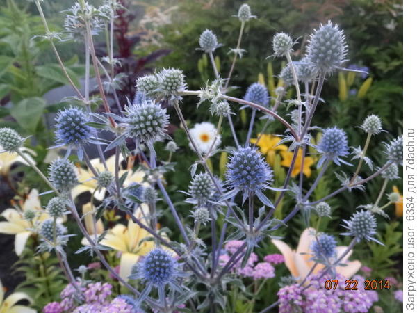 в компании.