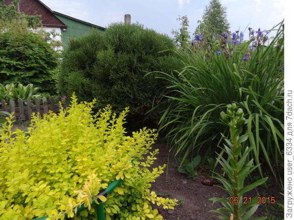 но добротна.