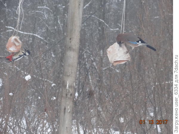 Тут места хватало