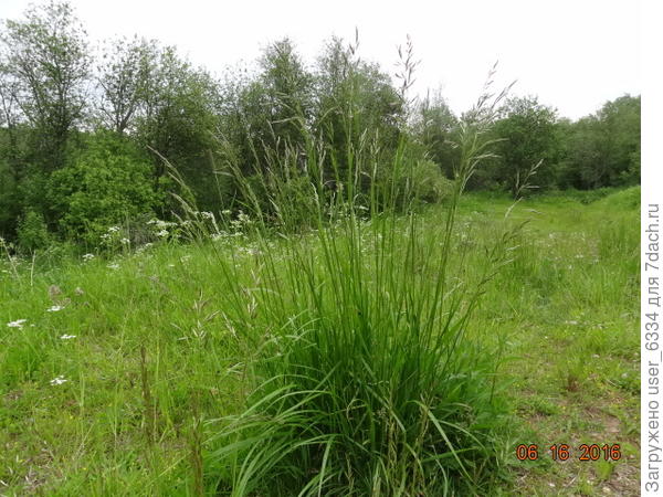 Если не ошибаюсь, это она и есть