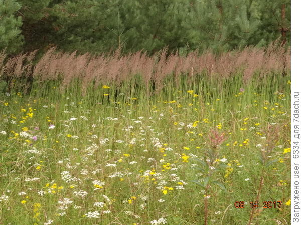 Сомкнутым строем