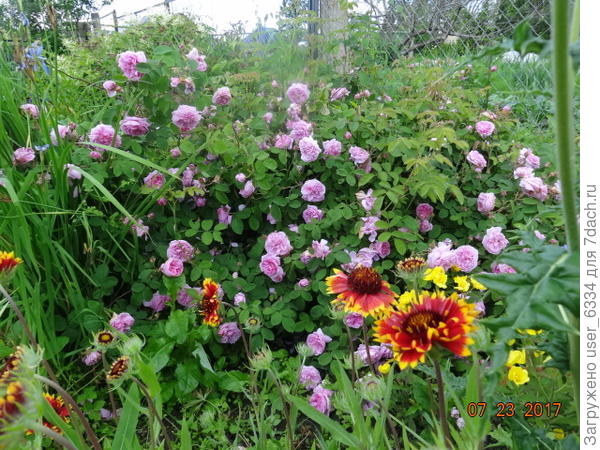 такому например.