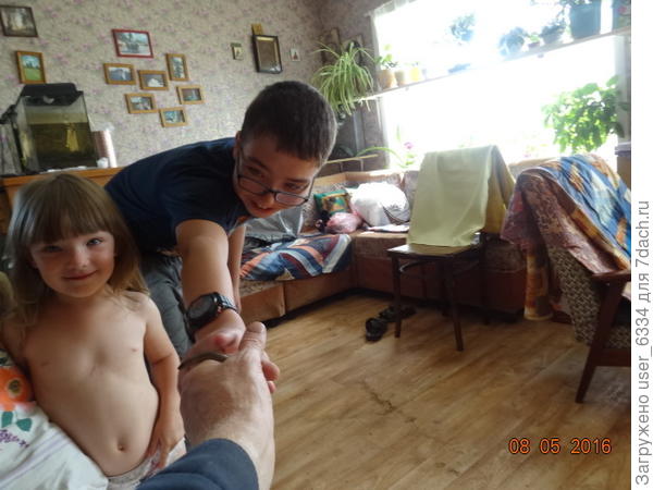 внукам принес показать