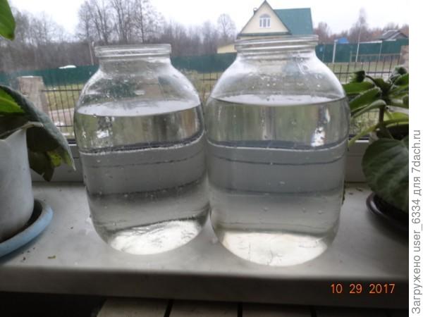 Пример действия трилона. Две банки налиты водой из общедеревенской скважины. В левую брошен трилон на кончике ножа